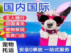 南宁吴圩空运地址国际宠物托运 【国